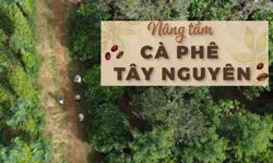 Nâng tầm cà phê Tây Nguyên:  Bền vững từ mô hình cà phê cảnh quan