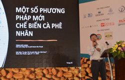 Cần giữ vững và ổn định chất lượng cà phê đặc sản Việt Nam