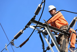 Không cắt điện trong kỳ nghỉ lễ