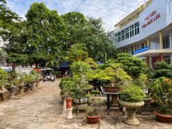 Lợi ích “kép” từ sinh vật cảnh