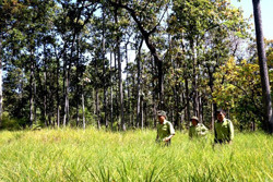 Tăng cường phòng, chống tội phạm về đa dạng sinh học đến năm 2030, tầm nhìn đến năm 2050