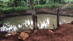 Tuy Đức phát hiện 2 người tử vong dưới ao nước