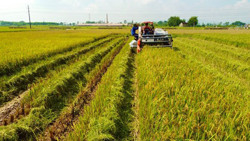 VietinBank ưu đãi lãi suất trong lĩnh vực nông nghiệp