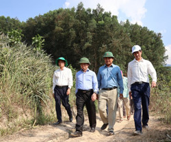 Tỉnh Đắk Lắk cần có giải pháp quản lý, bảo vệ rừng và đất lâm nghiệp hiệu quả