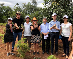 Khi trái cây “làm” du lịch