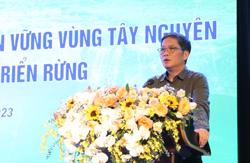 Tây Nguyên có lợi thế phát triển kinh tế rừng nhưng còn nhiều vướng mắc