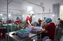 Triển khai nhiều giải pháp hỗ trợ doanh nghiệp nhỏ và vừa trên địa bàn tỉnh