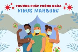 Tăng cường giám sát, phòng chống dịch bệnh Marburg