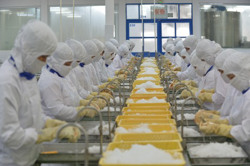 Hàng Việt tiến vào thị trường châu Mỹ