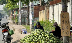 Khi nông dân trực tiếp tiêu thụ nông sản