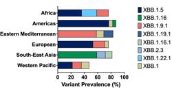 Châu Á "chia 3": WHO chỉ ra "thủ phạm" cụ thể khiến COVID-19 tăng mạnh