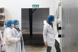 Đẩy mạnh phát triển doanh nghiệp công nghệ số trên địa bàn tỉnh