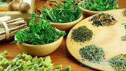 Đắp thuốc nam điều trị ung thư vú: Tiền mất tật mang