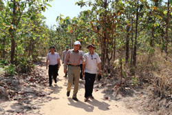Nhiều bất cập tại các dự án nông lâm nghiệp