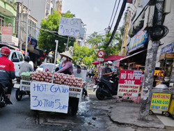 Lo phá sản, ngành chăn nuôi gia cầm kêu cứu Thủ tướng