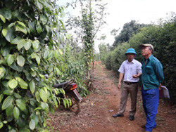 Điều chỉnh kế hoạch chi tiết thực hiện Dự án thành phần 3 thuộc Dự án cao tốc Khánh Hòa – Buôn Ma Thuột