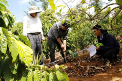 Huyện Krông Pắc: Đăng ký đăng cai lễ khởi công Dự án cao tốc Khánh Hòa - Buôn Ma Thuột