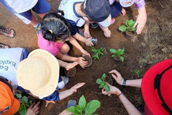 Nở rộ khóa học kỹ năng hè