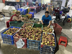 Măng cụt rớt giá hậu “cơn sốt” gỏi gà măng cụt xanh