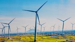 24 dự án điện tái tạo thống nhất giá mua tạm với EVN