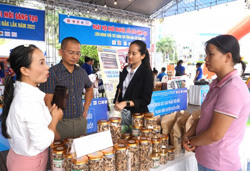 Thêm nhiều hoạt động hỗ trợ khởi nghiệp