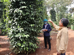 Tỉnh Đắk Lắk kiến nghị Thủ tướng Chính phủ giải pháp tháo gỡ khó khăn về nguồn vật liệu phục vụ Dự án cao tốc Khánh Hòa – Buôn Ma Thuột