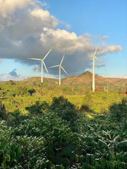 Hướng đến tăng trưởng xanh: Đừng để quá muộn