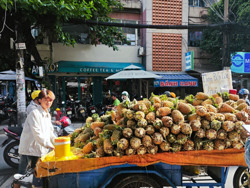 Thất thường thị trường trái cây trong nước