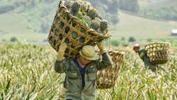 Nhiều khu vực tiếp tục nắng nóng, có nơi trên 38 độ C