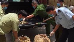 Xử lý nghiêm các trường hợp vận chuyển trái phép gia cầm, sản phẩm gia cầm qua biên giới