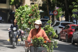 Người dân mệt mỏi vì nắng nóng