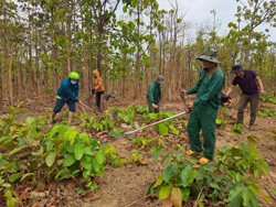 Huyện Ea Súp: Cẩn trọng với “giặc lửa" tấn công rừng