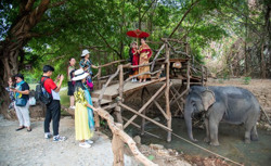 “Gập ghềnh” con đường phát triển du lịch bền vững (Kỳ 1)