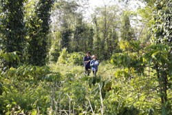 41 hộ đầu tiên của huyện Krông Pắc nhận tiền bồi thường, hỗ trợ giải phóng mặt bằng Dự án cao tốc Khánh Hòa – Buôn Ma Thuột