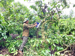 Huyện Cư Kuin: Người dân khẩn trương dọn mặt bằng bàn giao thực hiện Dự án đầu tư xây dựng đường bộ cao tốc Khánh Hòa - Buôn Ma Thuột