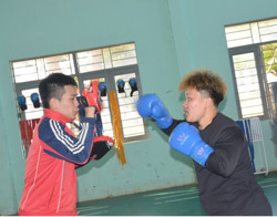 10 võ sĩ tuyển boxing Đắk Lắk được phong cấp kiện tướng, vận động viên cấp 1
