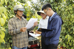 Giải phóng mặt bằng Dự án cao tốc Khánh Hòa - Buôn Ma Thuột: Khi lòng dân đồng thuận