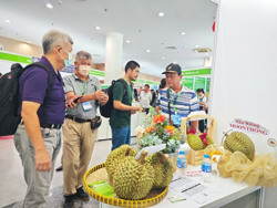 Sầu riêng rộ mùa, được giá