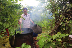 Nâng tầm giá trị cà phê từ canh tác theo hướng hữu cơ