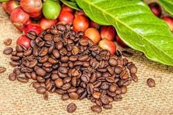 Giá cà phê robusta thế giới tăng lên mức cao nhất 28 năm do lo ngại nguồn cung thiếu hụt
