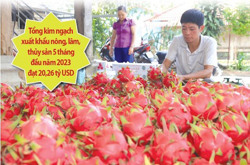 Nông sản phá kỷ lục