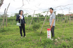 Huyện Ea Kar thống nhất cách thức bàn giao mặt bằng Dự án đường cao tốc Khánh Hòa - Buôn Ma Thuột