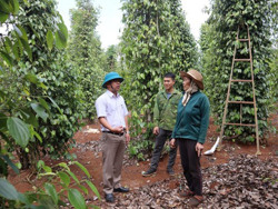 Hai phương án đầu tiên về bồi thường, hỗ trợ giải phóng mặt bằng Dự án cao tốc Khánh Hòa – Buôn Ma Thuột được phê duyệt