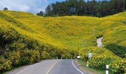 Ký ức Tây Nguyên