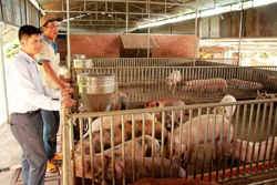 Huyện Ea Kar: 1,3 tỷ đồng cho đào tạo nghề lao động nông thôn