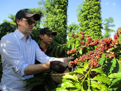 Thách thức mới trong xuất khẩu nông sản