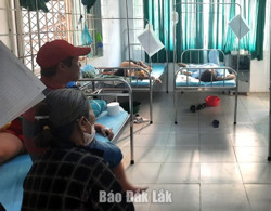 Xử lý, xử phạt nghiêm các tổ chức, cá nhân vi phạm về an ninh, an toàn thực phẩm