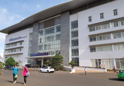 Đắk Lắk: Thêm bệnh nhi mắc viêm não Nhật Bản