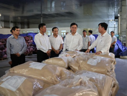 Tổng kim ngạch xuất khẩu 6 tháng đầu năm đạt trên 800 triệu USD