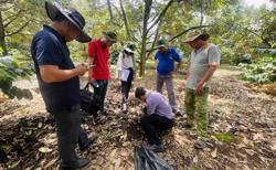 Doanh nghiệp chọn lối đi riêng để giúp sầu riêng Việt Nam phát triển